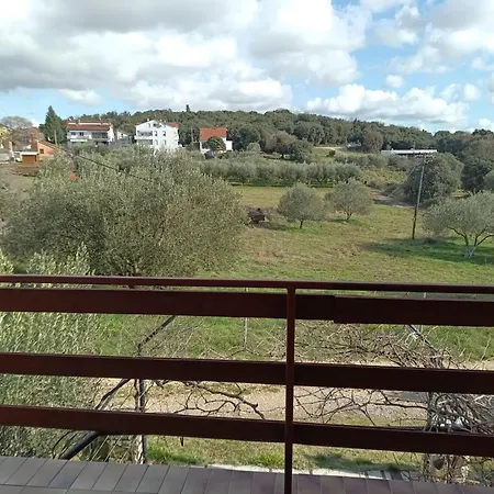 Mariza Pula